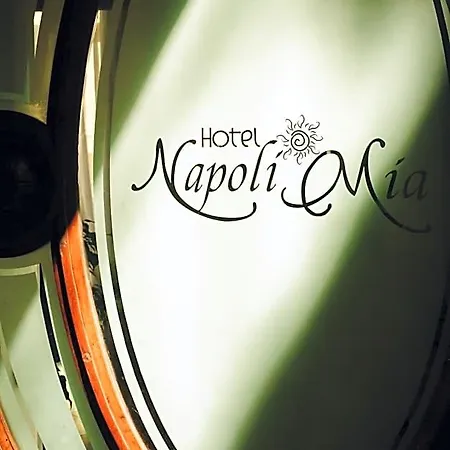 Napolimia Boutique Otel 4*
